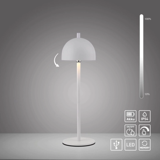 Lampa stołowa BELLIS 19244-16 Paul Neuhaus by Zuma Line