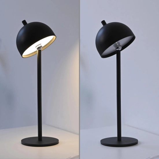 Lampa stołowa BELLIS 19244-18 Paul Neuhaus by Zuma Line Schöner Wohnen