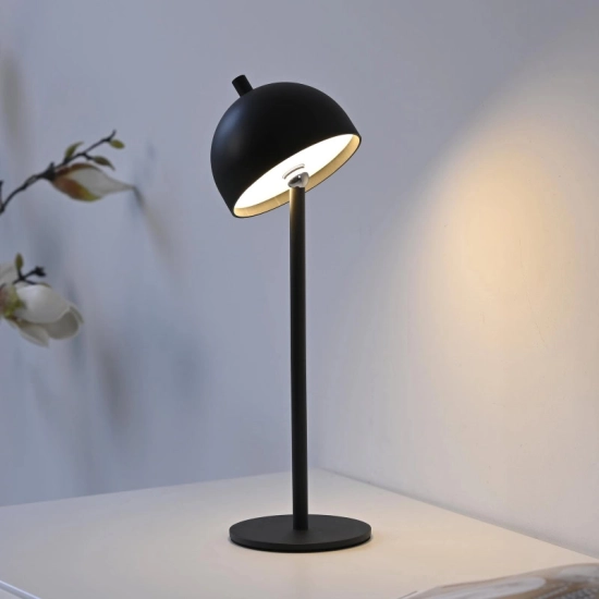 Lampa stołowa BELLIS 19244-18 Paul Neuhaus by Zuma Line Schöner Wohnen