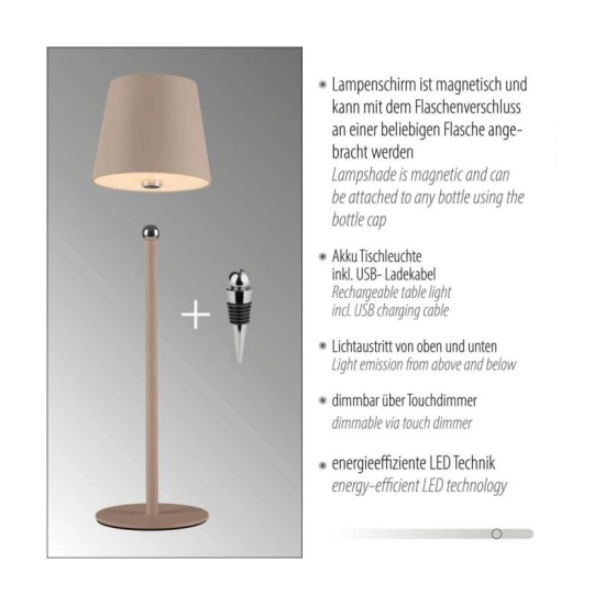 Lampa stołowa BOTERIA 19251-39 Paul Neuhaus by Zuma Line