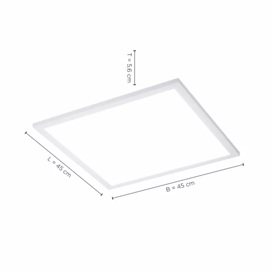 14531-16 LAMPA SUFITOWA FLAT Paul Neuhaus