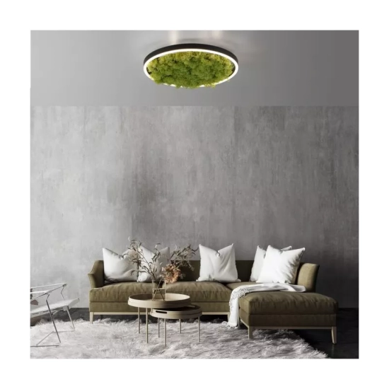 Lampa sufitowa GREEN RITUS 15391-66 Paul Neuhaus