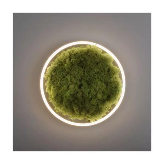 Lampa sufitowa GREEN RITUS 15391-66 Paul Neuhaus