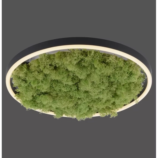 Lampa sufitowa GREEN RITUS 15391-66 Paul Neuhaus