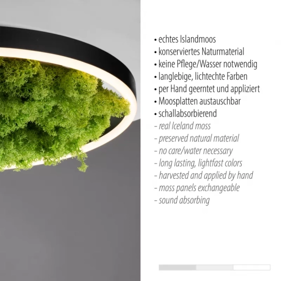Lampa sufitowa GREEN RITUS 15392-66 Paul Neuhaus