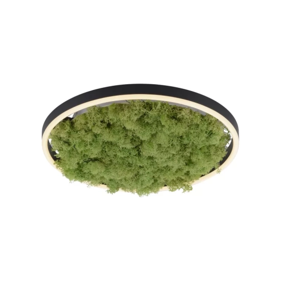 Lampa sufitowa GREEN RITUS 15391-66 Paul Neuhaus