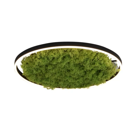 Lampa sufitowa GREEN RITUS 15392-66 Paul Neuhaus