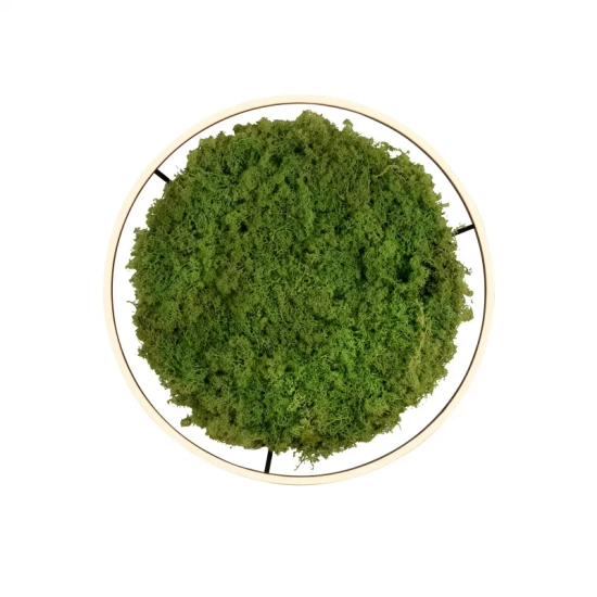 Lampa sufitowa GREEN RITUS 15392-66 Paul Neuhaus