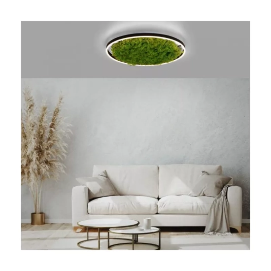 Lampa sufitowa GREEN RITUS 15392-66 Paul Neuhaus