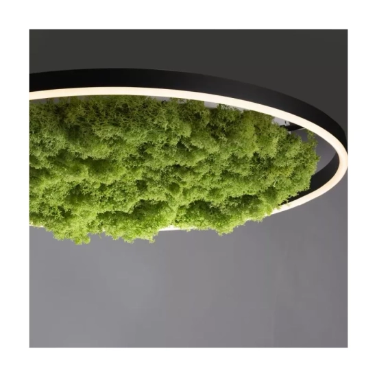 Lampa sufitowa GREEN RITUS 15392-66 Paul Neuhaus