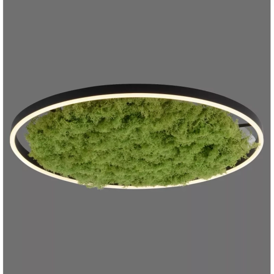 Lampa sufitowa GREEN RITUS 15392-66 Paul Neuhaus
