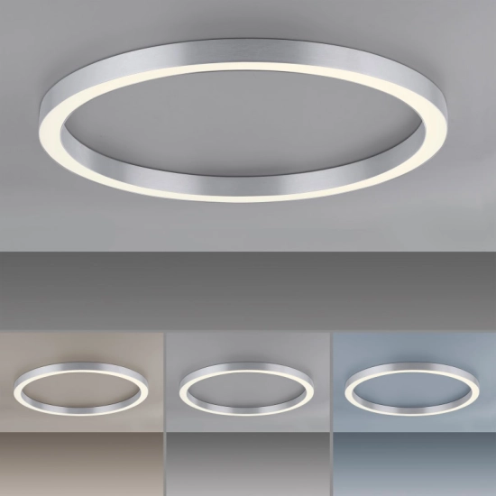 Lampa sufitowa PURE-LINES 6306-95 Paul Neuhaus