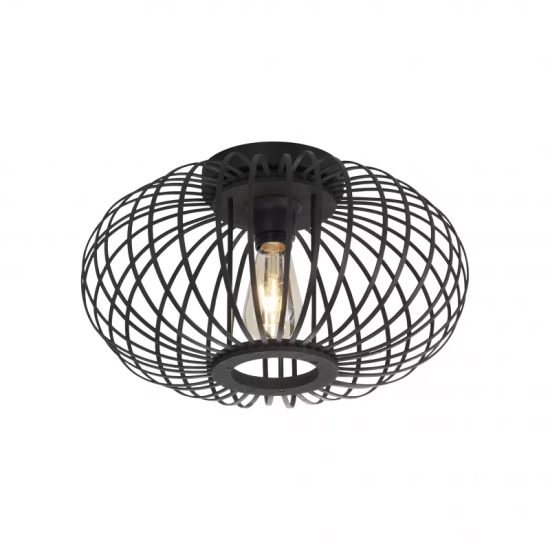 Lampa sufitowa RACOON 11410-18 Paul Neuhaus