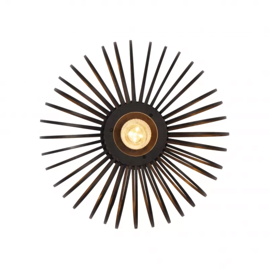 Lampa sufitowa RACOON 11410-18 Paul Neuhaus