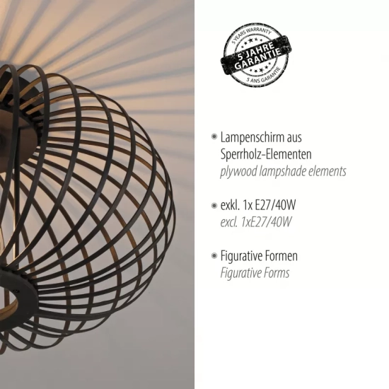 Lampa sufitowa RACOON 11410-18 Paul Neuhaus
