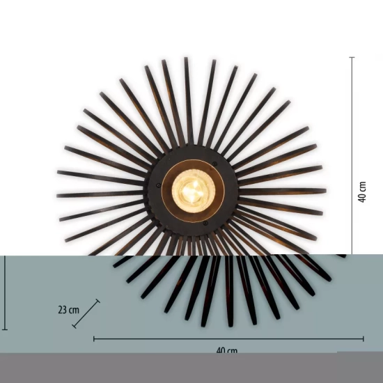 Lampa sufitowa RACOON 11410-18 Paul Neuhaus