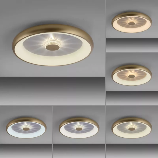 Lampa sufitowa VERTIGO 14386-60 Paul Neuhaus