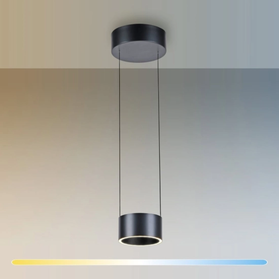 PURE CLIPSE LAMPA WISZĄCA z pilotem 2471-15 Paul Neuhaus by Zuma Line