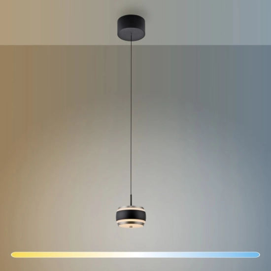 Lampa wisząca PURE FALLING RINGS 2503-18 Paul Neuhaus by Zuma
