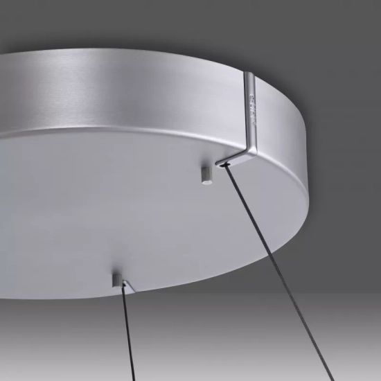 PURE E-CLIPSE LAMPA WISZĄCA z pilotem 2561-95 Paul Neuhaus by Zuma Line