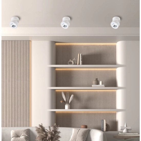 Plafon DELSA LNV0038024 Lunaveri