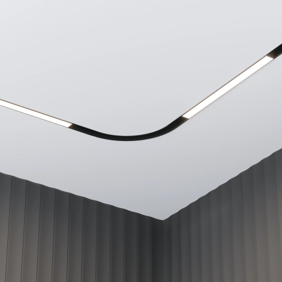 Lampa szynowa Basis Exility 2700-6000K 12W 120° Dim Smart TR030-4-12W3K-WW-DS-B Maytoni - zdjęcie dodatkowe 2