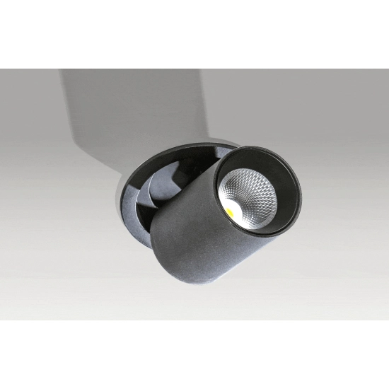 Oprawa stropowa Luna 15W Dim (black) AZ2829 AZZARDO