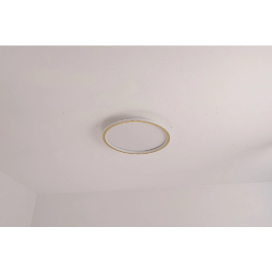 Plafon LED okrągły Abigali 500*45mm 36W - trzy barwy, ściemnialny - Pilot ABIGALI-MD1803-R50-Y-G Plafon LED okrągły Abigali 500*45mm 36W - trzy barwy, ściemnialny - Pilot ABIGALI-MD1803-R50-Y-G