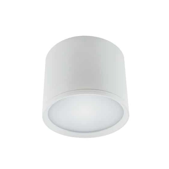 Plafon ROLEN LED 10W 4000K 03109 Ideus - zdjęcie produktu
