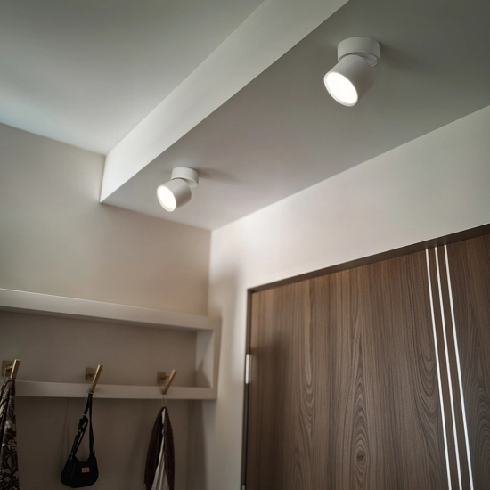 Oprawa oświetleniowa GX53 PZE-9001 Biała 1288DL DOMENO LIGHTING - zdjęcie dodatkowe 1