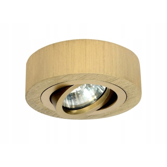 PÓŁTUBA OPRAWA HALOGENOWA złota GU10 572DL DOMENO LIGHTING - zdjęcie produktu