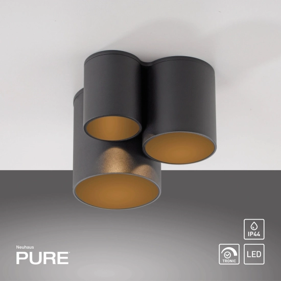 Lampa sufitowa Pure Point Czarna 6750-18 Paul Neuhaus - zdjęcie produktu