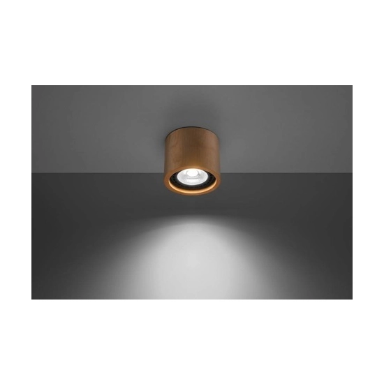 kinkiecik.pl Plafon BASIC 1 SL.0913 SOLLUX LIGHTING