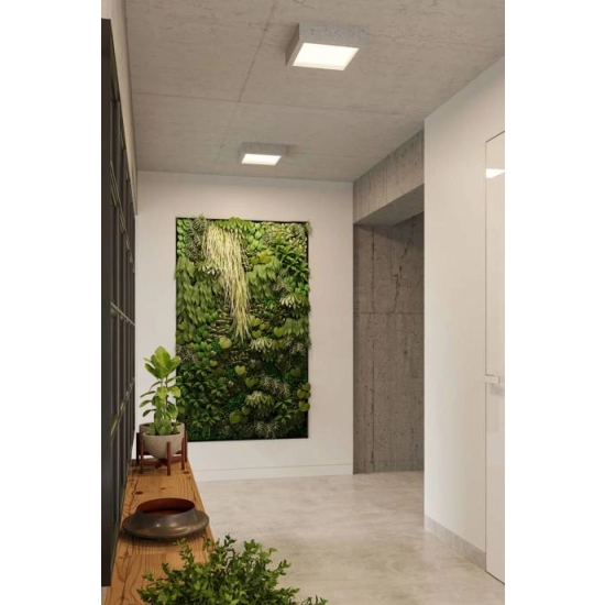 kinkiecik.pl Plafon RIZA SL.0995 SOLLUX LIGHTING