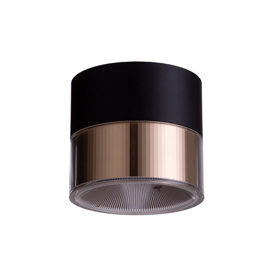 Plafon JUNIPER R14217 Rendl light studio