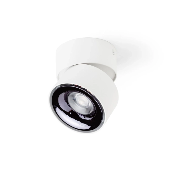 Plafon ALBANO R14425 Rendl light studio