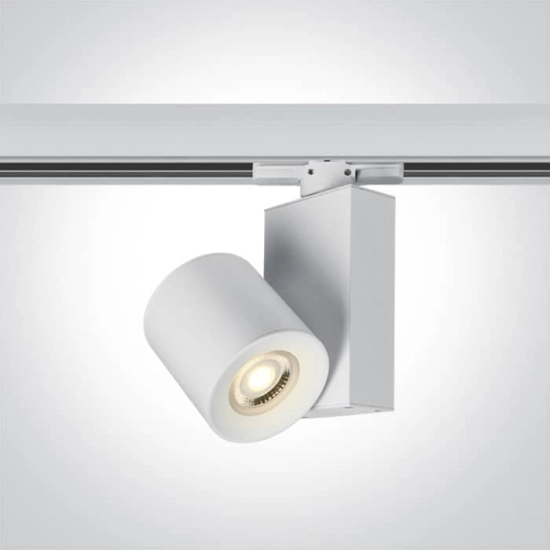 kinkiecik.pl Reflektor The GU10 Track Spots 65519T/W ONE LIGHT