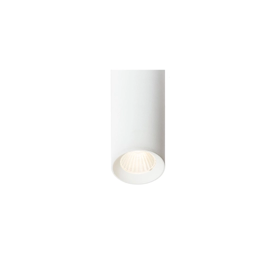 RIGA 18 sufitowa biała 230V LED 4.5W 38° 3000K R12450 Rendl light studio