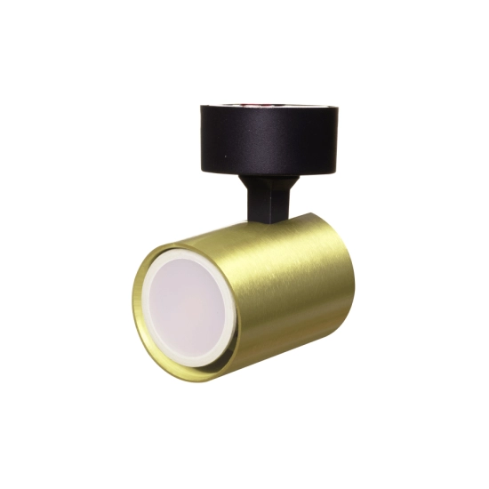 kinkiecik.pl Snow 1 spot złoty LP-731/1W GD Light Prestige