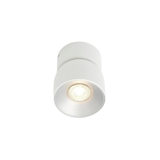 Pitcher 1-Spot Spot light White 2310400101 NORDLUX