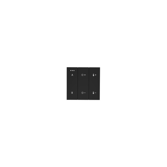SWITCH PANEL REMOTE CONTROL 2-GROUP BLUETOOTH BK AZ5209 AZZARDO