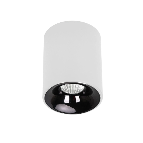 Oprawa natynkowa Tom biała LED CCT LP-4848/1RM WH Light Prestige
