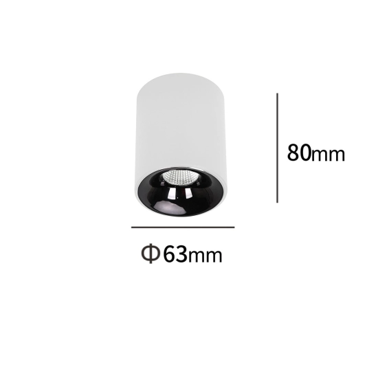Oprawa natynkowa Tom biała LED CCT LP-4848/1RM WH Light Prestige