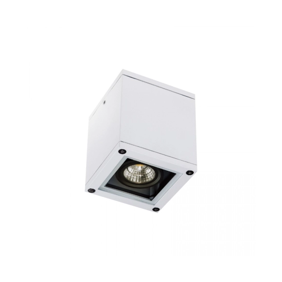E270 CEILING LAMP ALUMINIUM 1XGU10 WHITE IP65 Zambelis Lights