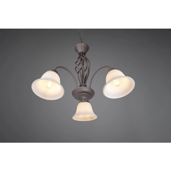 RUSTICA 101000324 - zdjęcie 2