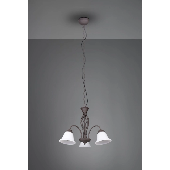 RUSTICA 101000324 - zdjęcie 3