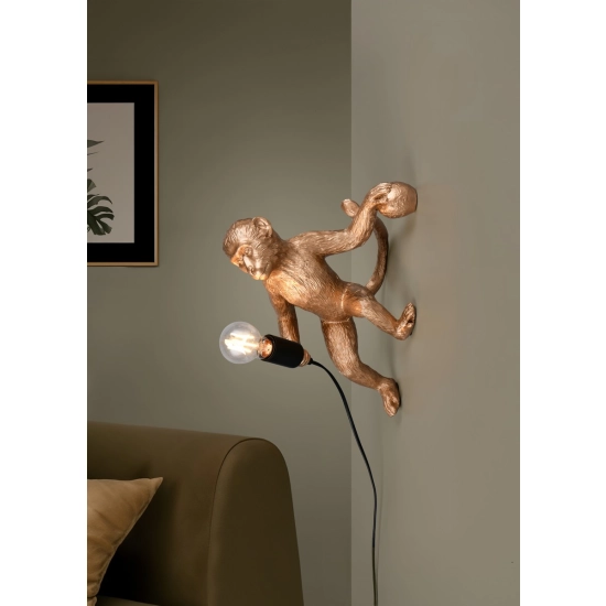 LOUY R26541079 - zdjęcie 5
