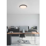 LIMBUS R67021132 - zdjęcie 2