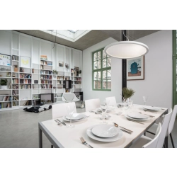 Lampa wisząca MONETA R10581