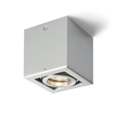 Plafon BERIT R10119
